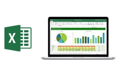 Data Analysis and Reporting Techniques Using Excel